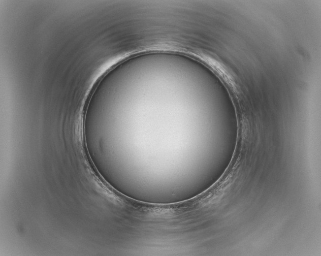 X0000115491238200911201550