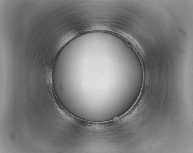 X0000115491241200911201550