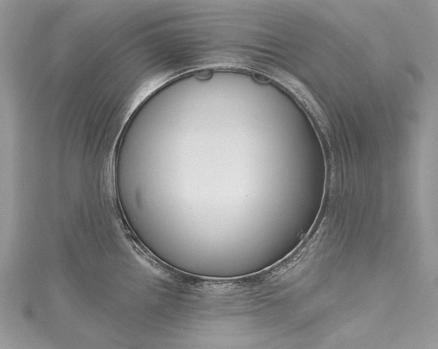 X0000115491242200911201550