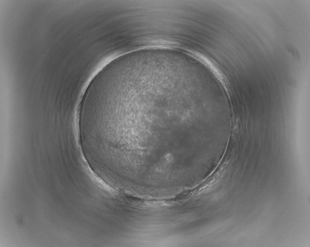 X0000115491243200911201550