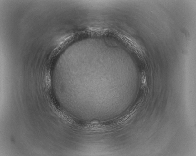 X0000115491252200911201549