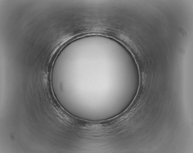 X0000115491260200911201549