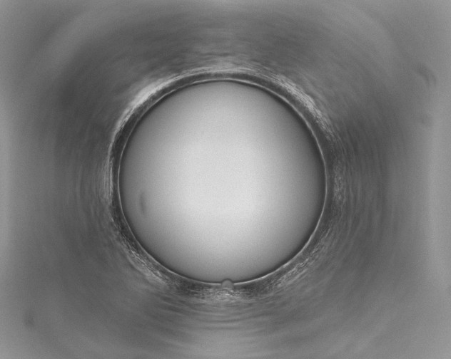 X0000115491270200911201549
