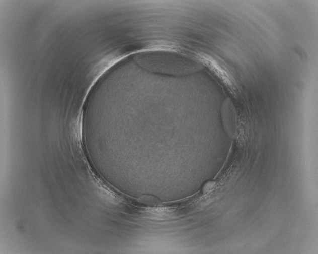 X0000115491276200911201549