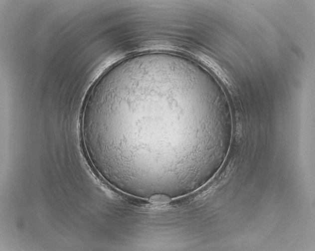 X0000115491282200911201549