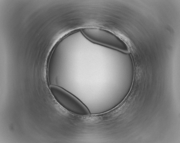 X0000115491288200911201548