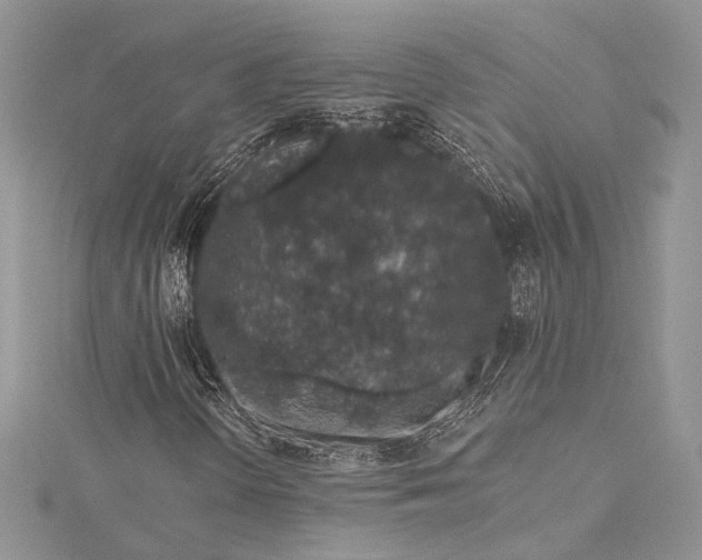 X0000115491298200911201548