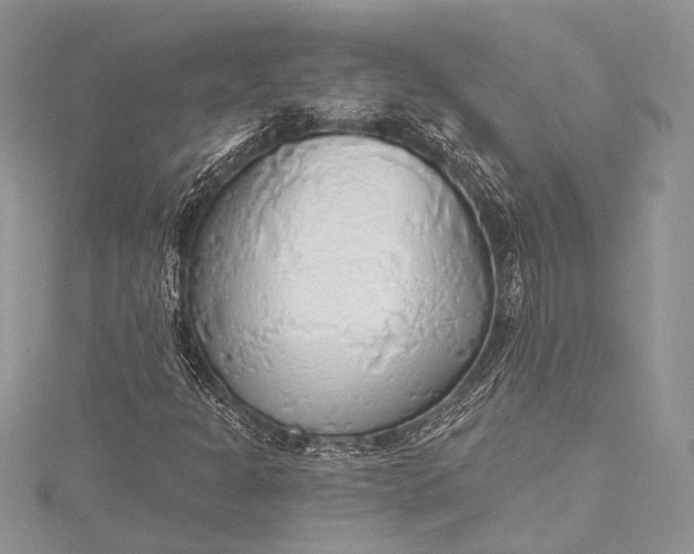 X0000115491301200911201548