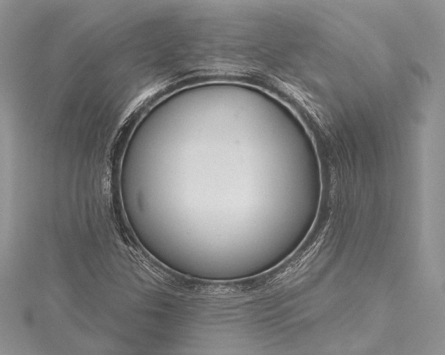 X0000115491307200911201548