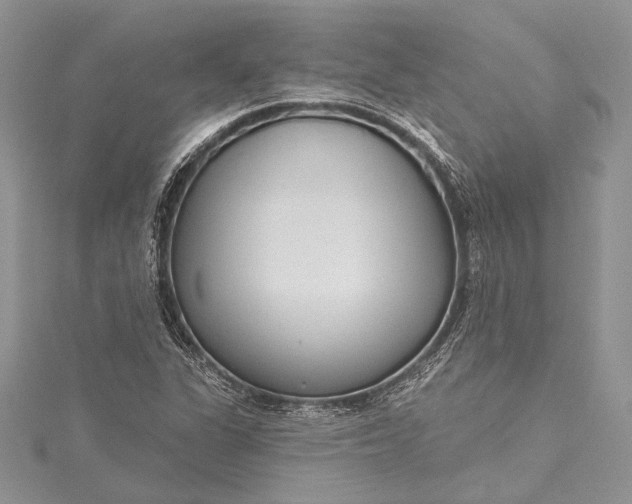X0000115491311200911201548