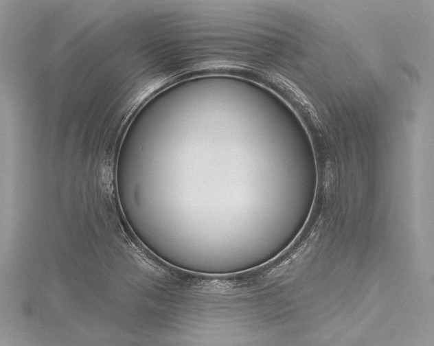 X0000115491321200911201548