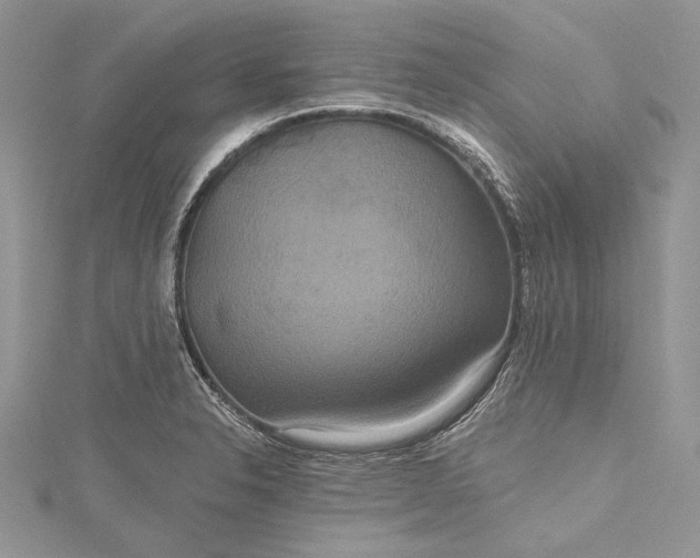 X0000115491326200911201548