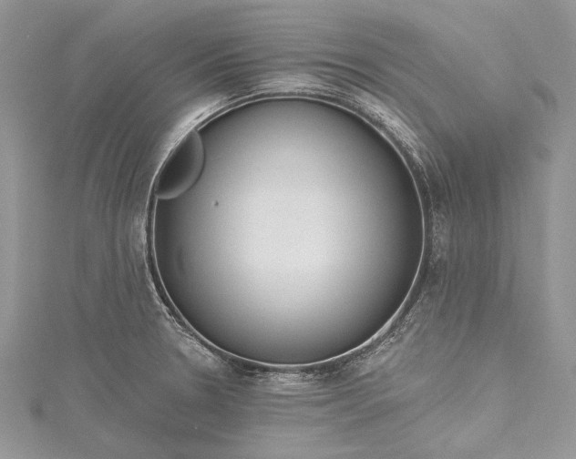 X0000115491330200911201548