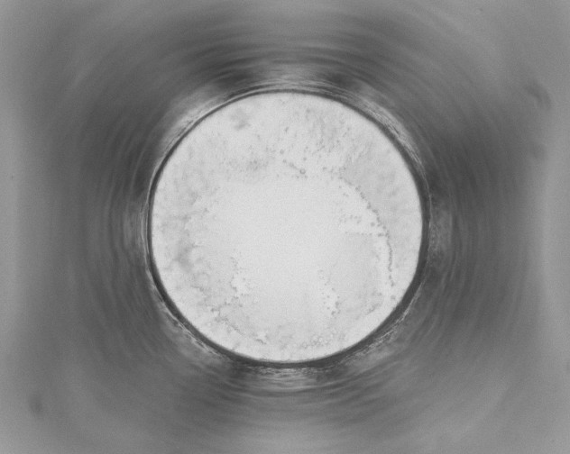 X0000115491338200911201548
