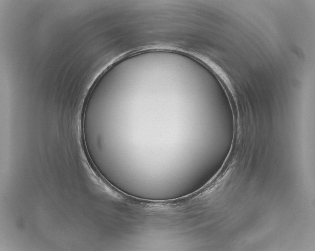 X0000115491341200911201548