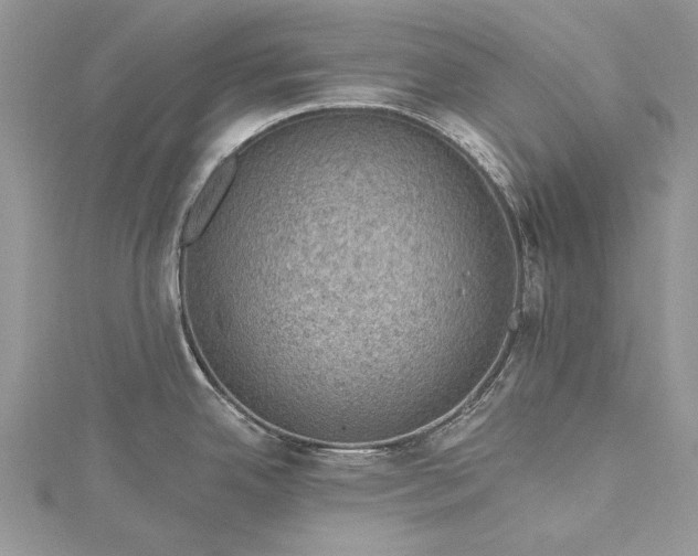 X0000115491342200911201548