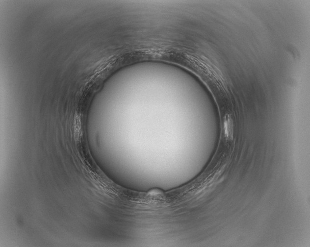 X0000115491347200911201548