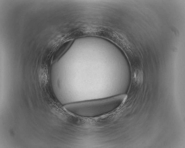 X0000115491348200911201548