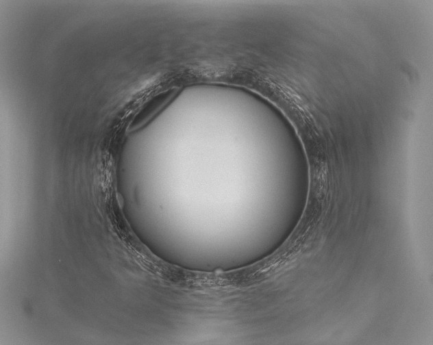 X0000115491349200911201548