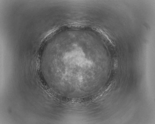 X0000115491350200911201548