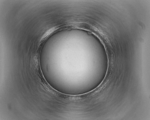 X0000115491354200911201548