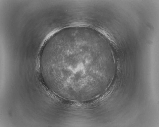 X0000115491358200911201548