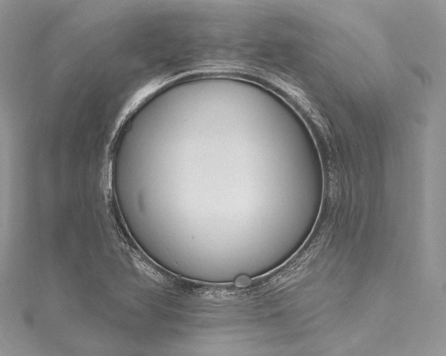 X0000115491366200911201547
