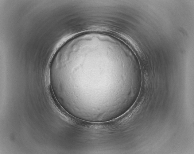 X0000115491371200911201547