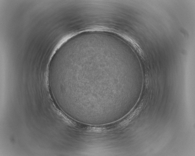 X0000115491374200911201547