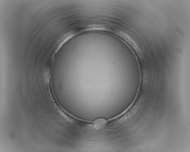X0000115491377200911201547