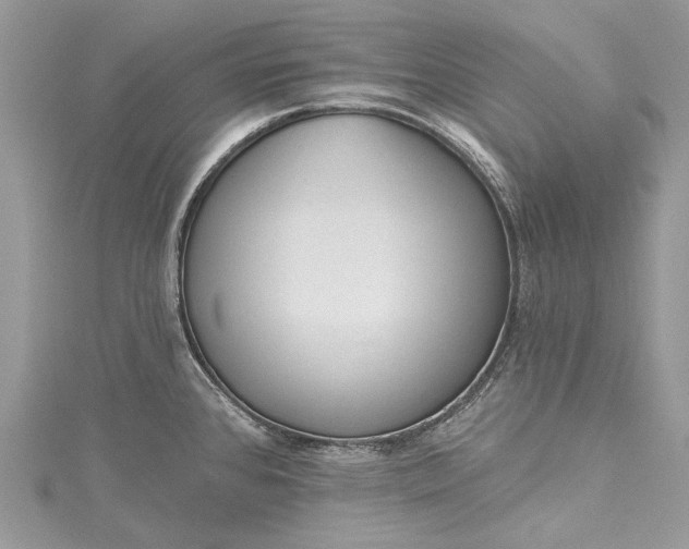X0000115491384200911201547