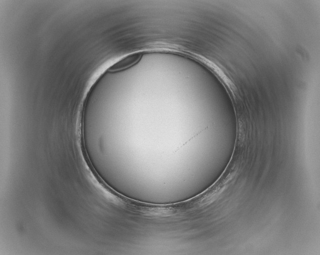 X0000115491387200911201547