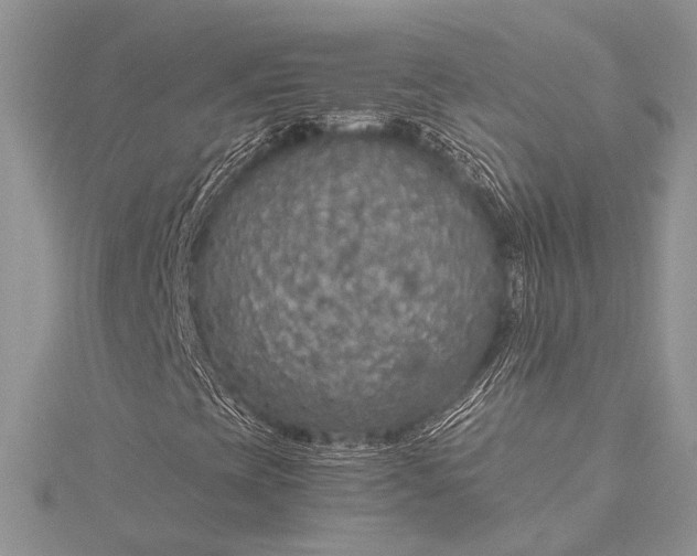 X0000115491393200911201546