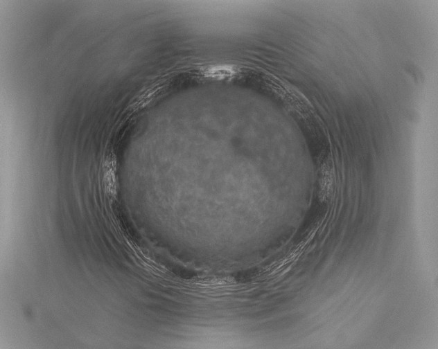 X0000115491394200911201547