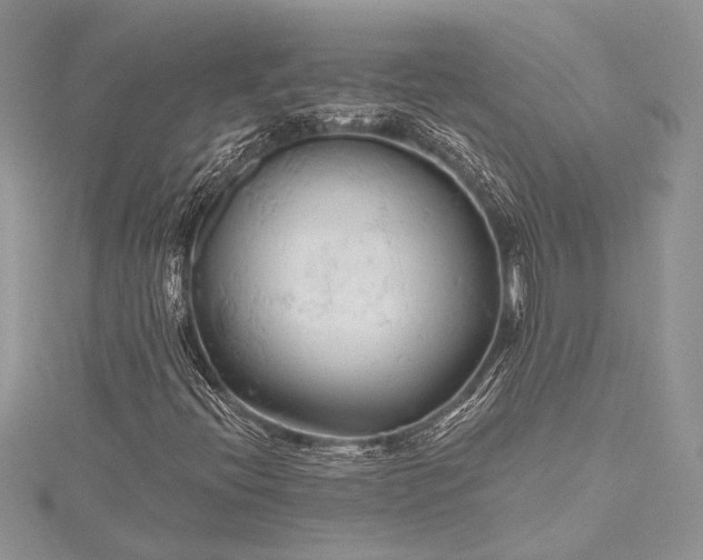 X0000115491396200911201547