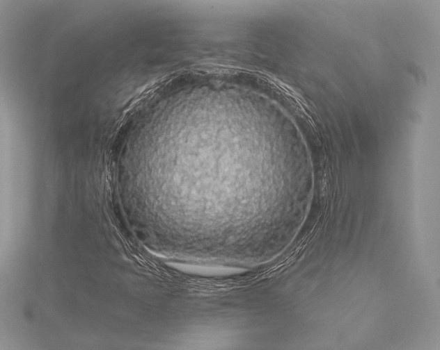 X0000115491397200911201547