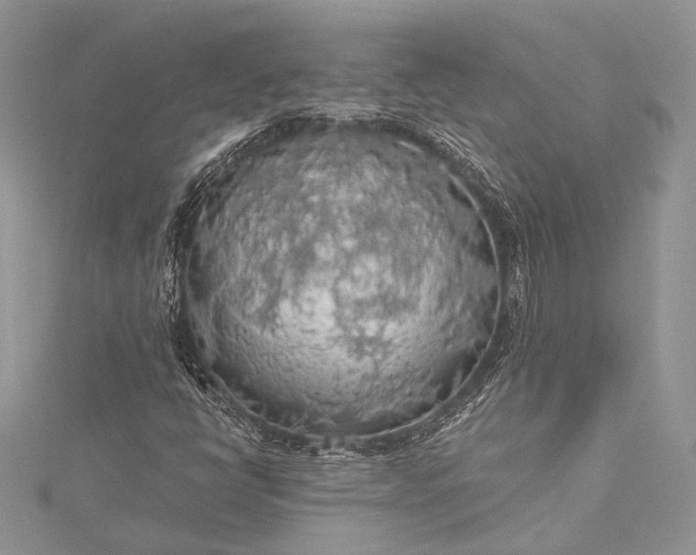 X0000115491398200911201547