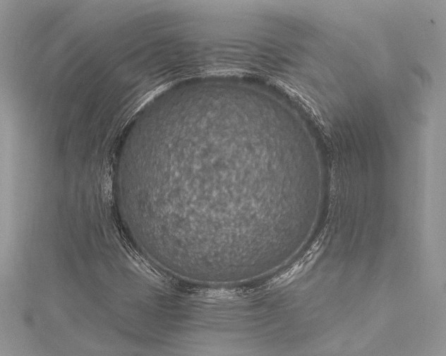 X0000115491401200911201547