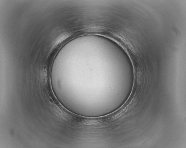 X0000115491402200911201547