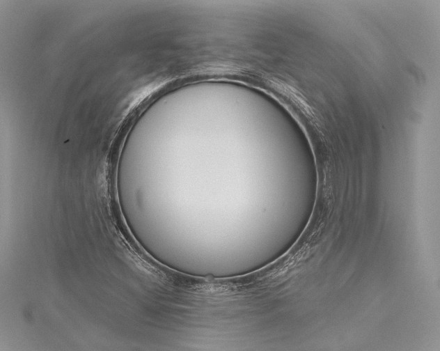 X0000115491404200911201547
