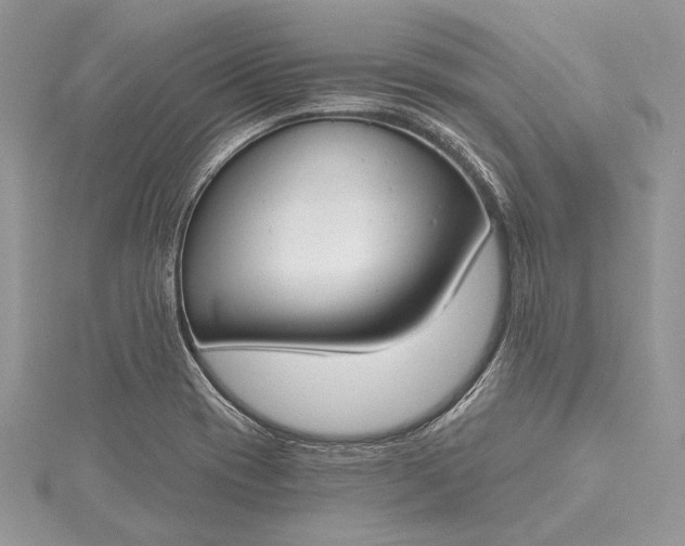 X0000115491417200911201547