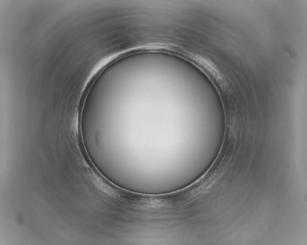 X0000115491420200911201547