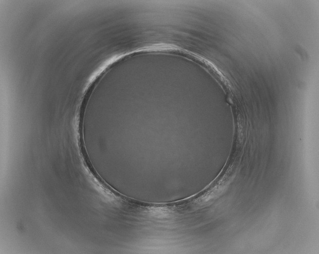 X0000115491422200911201547