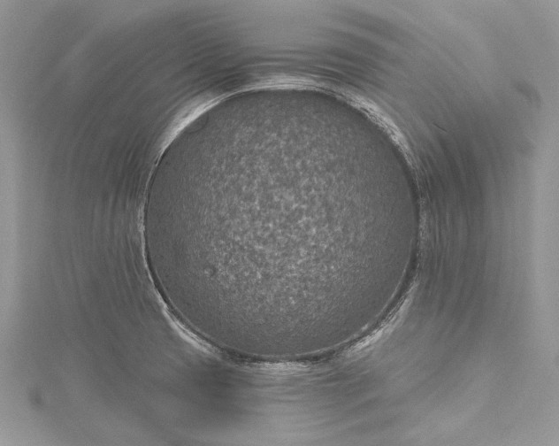 X0000115491425200911201547
