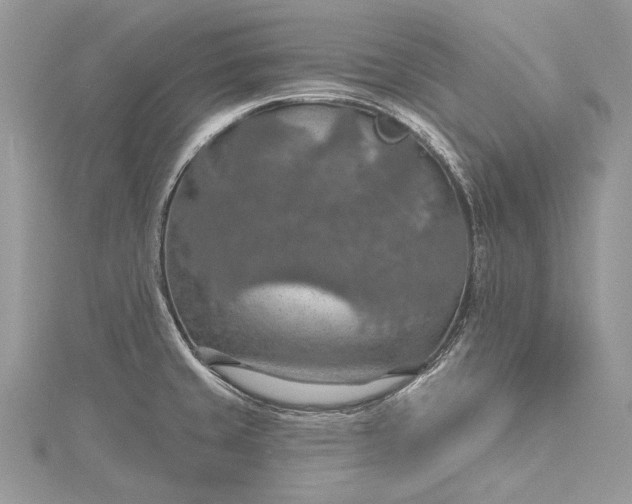 X0000115491429200911201547