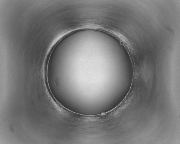X0000115491430200911201547