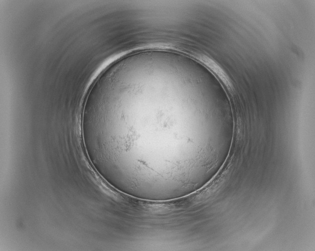 X0000115491436200911201547