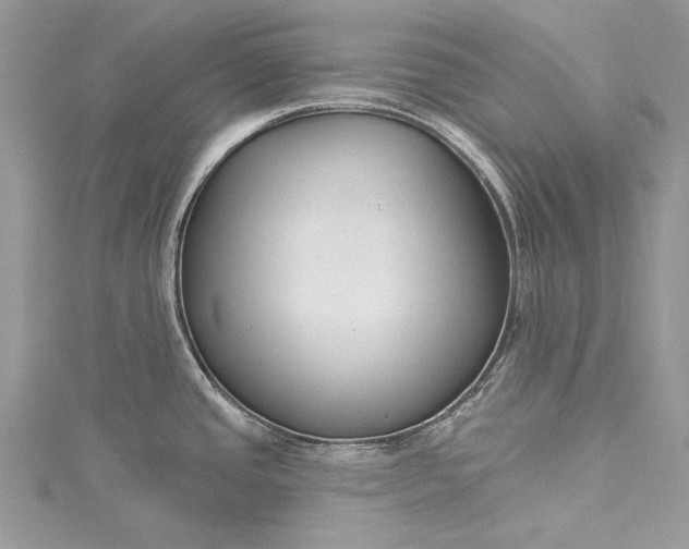 X0000115491437200911201547