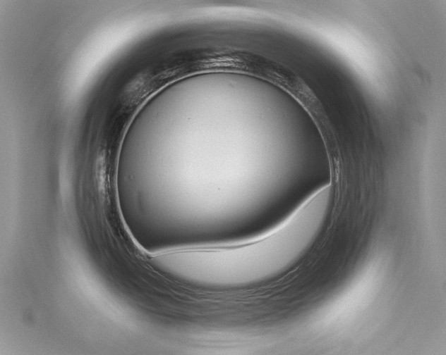 X0000115491438200911201547