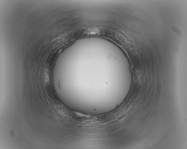 X0000115491442200911201546